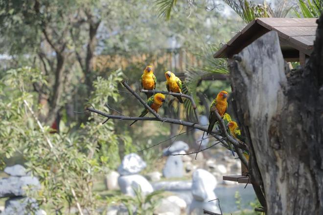 uploads/Chandigarh Bird Park a visitors’ delight