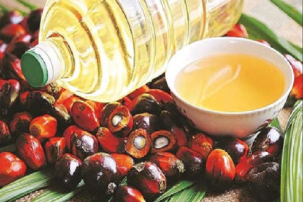 uploads/ India’s palm oil imports fall 29 pc in December 2021: SEA